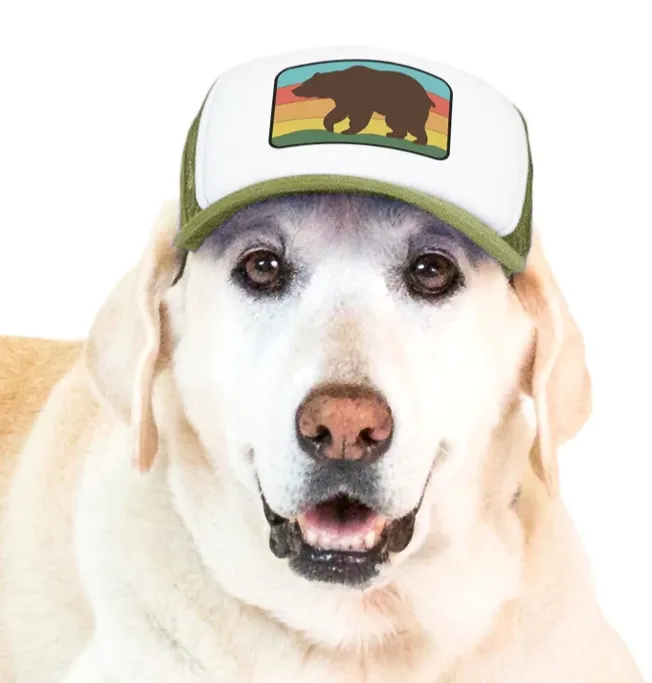 Puplid Trucker Hats