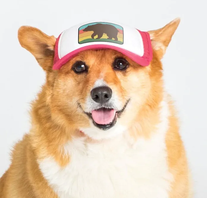 Puplid Trucker Hats