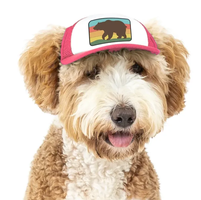 Puplid Trucker Hats