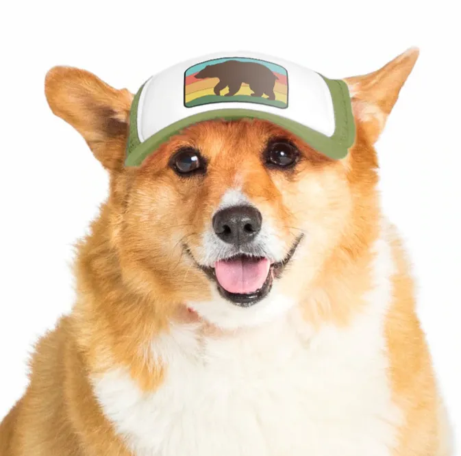 Puplid Trucker Hats