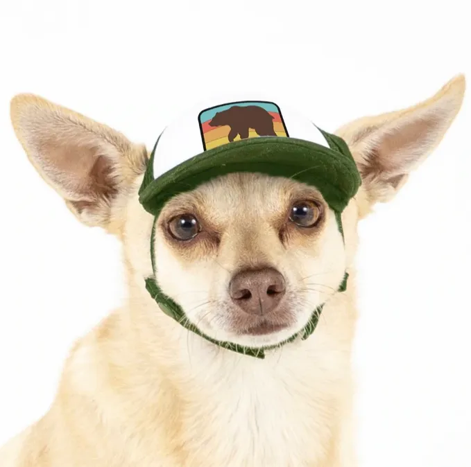 Puplid Trucker Hats