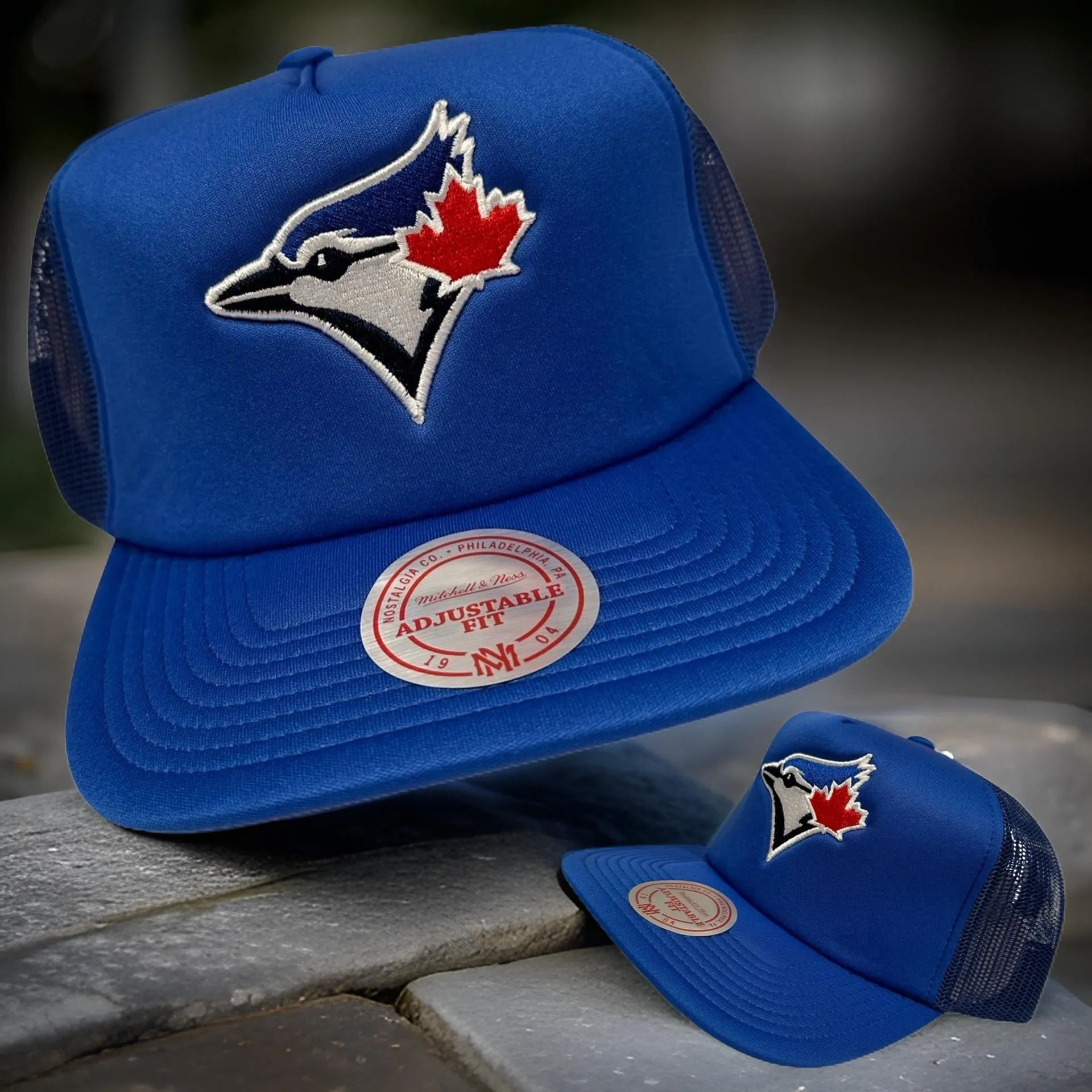 *Toronto Blue Jays* trucker hat/snapback hats by Mitchell & Ness